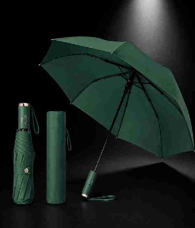 Customizable Umbrella - Forest Green